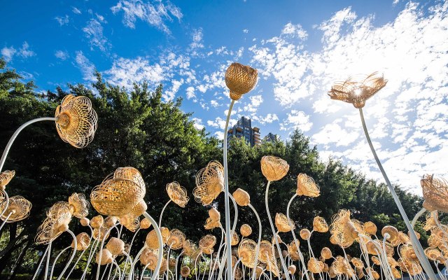 垂首的謝籃』裝置藝術——以不謝之花，敬謝不懈的你