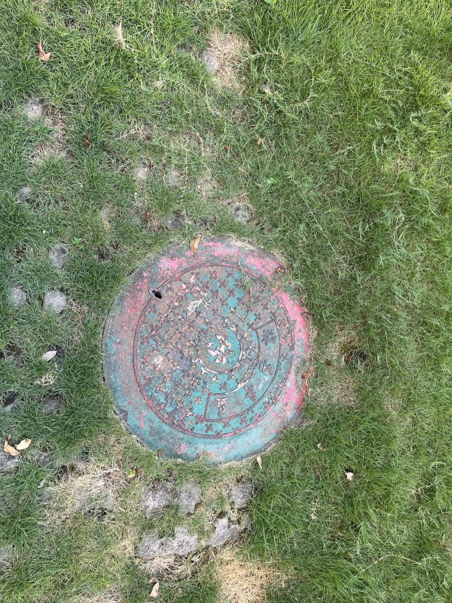 日常情绪