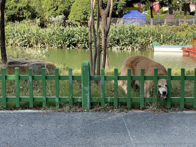 日常情绪