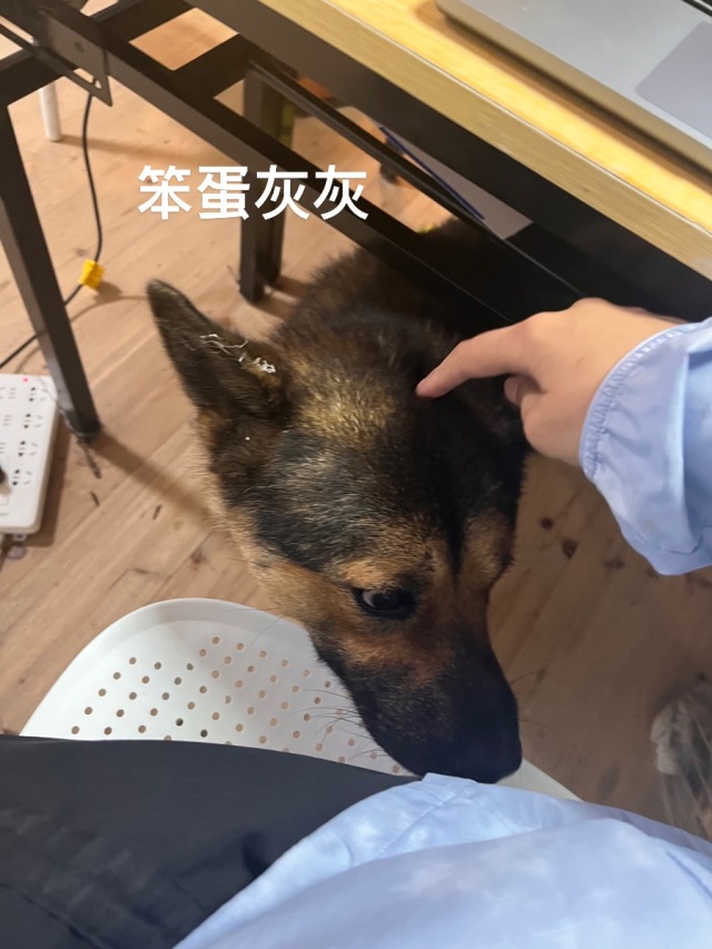 工作日常