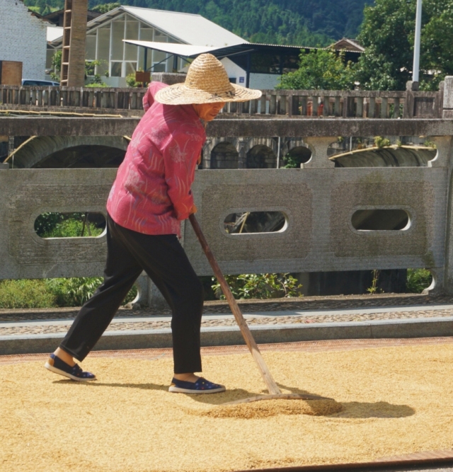 秋分