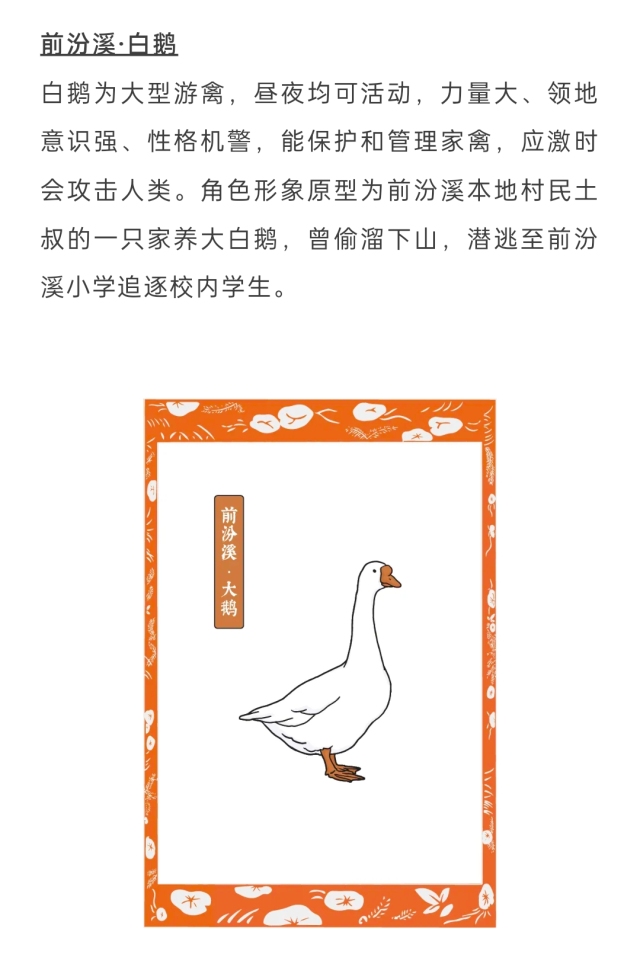 前汾溪白鹅