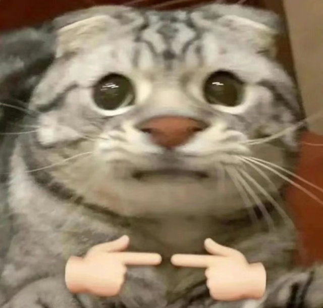 前汾溪白鹅