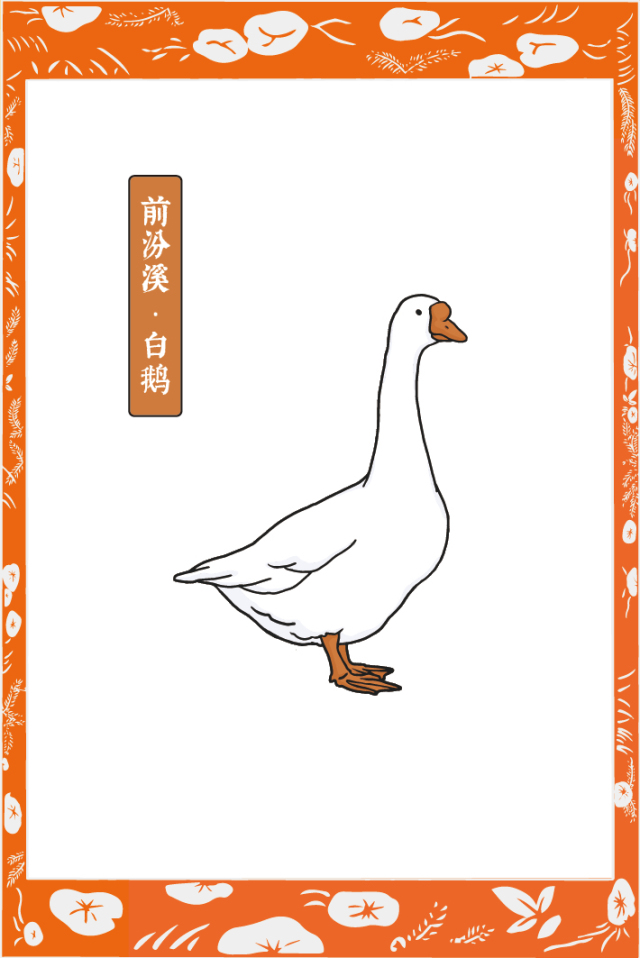 《前汾溪疯狂动物村》即将开启