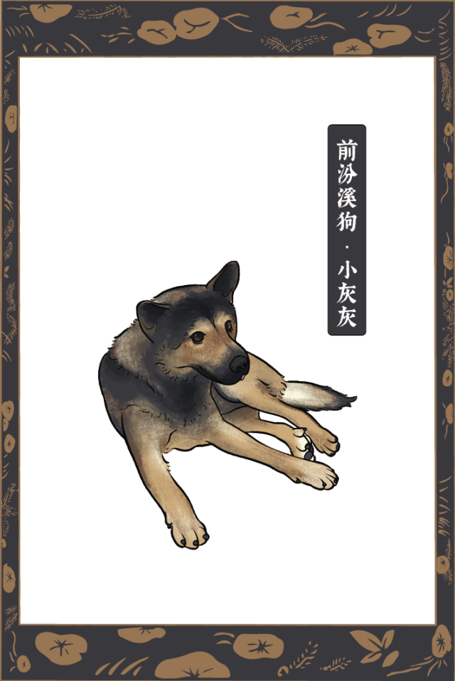 《前汾溪疯狂动物村》即将开启