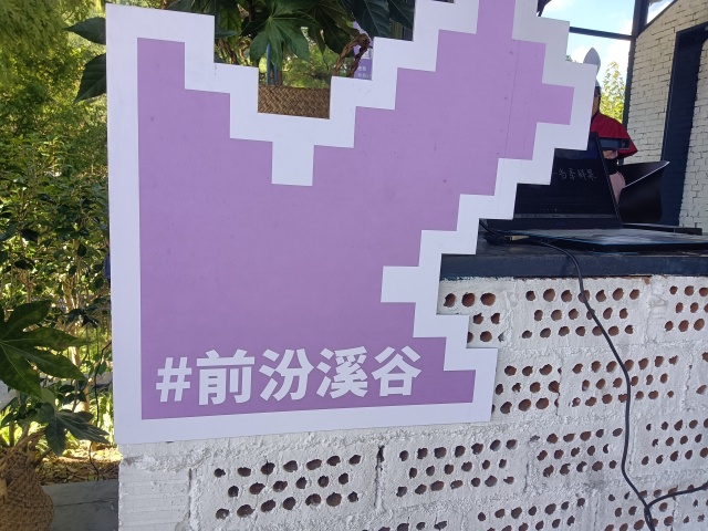 共创营初体验