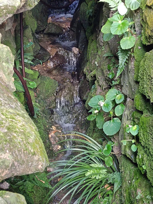 Day2:寿山村