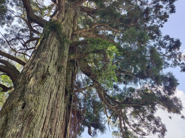 Day2:寿山村
