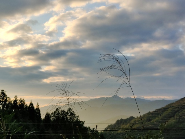 团建➕成长