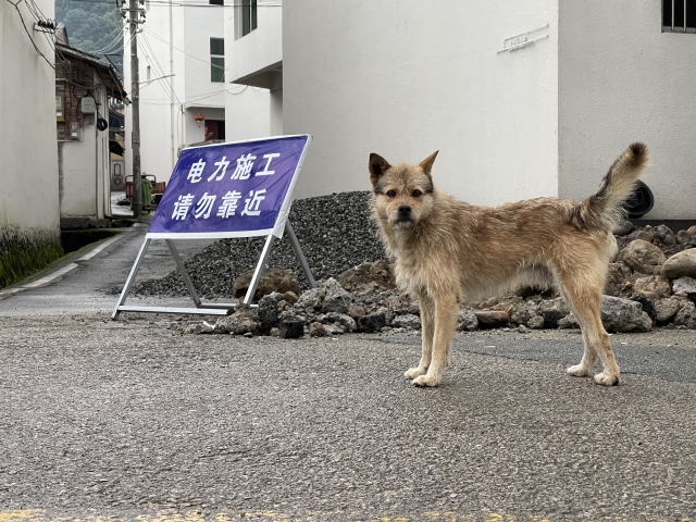 生活在山水里