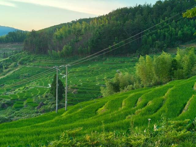 近期鸡零狗碎⑥——南湾