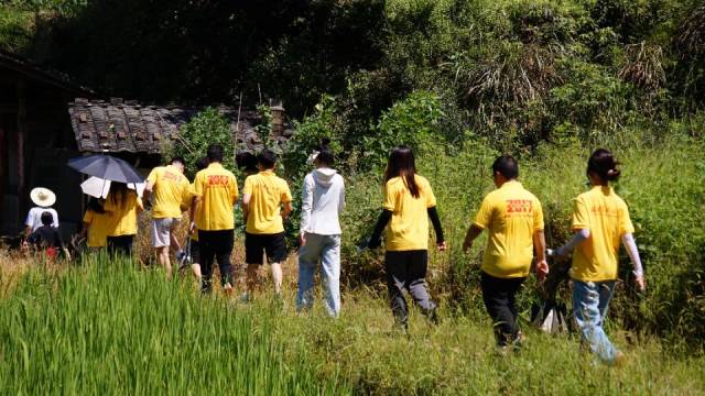 福建农林大学乡村振兴学院下乡实践