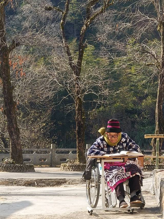 柿子树