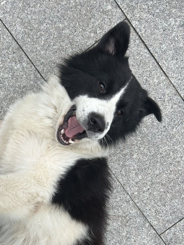 今日阳光小镚