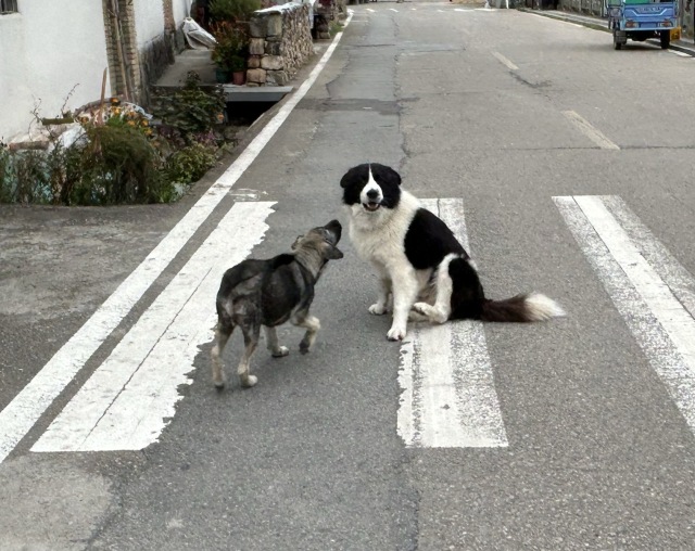 今日阳光小镚