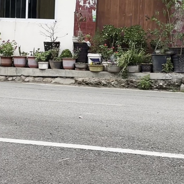 狗与🐶