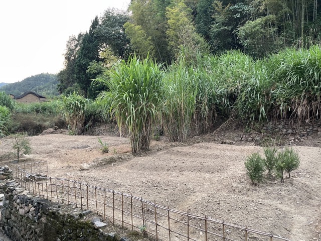 2025年10月25号