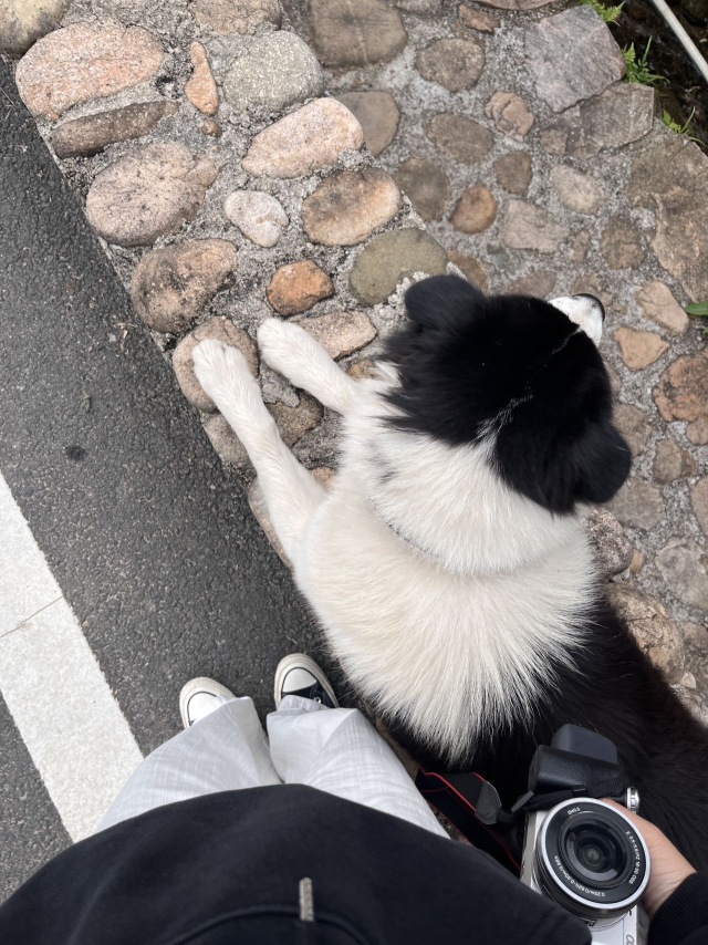 人  早上好