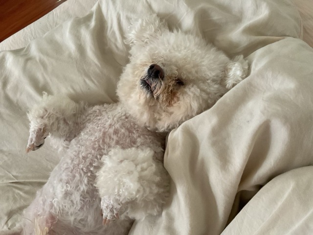 人 我先睡一步
