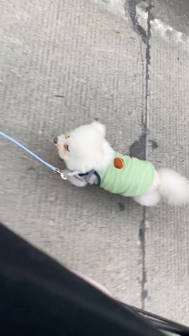 人 我又来了