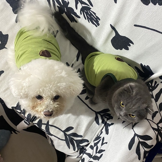 人 我又来了