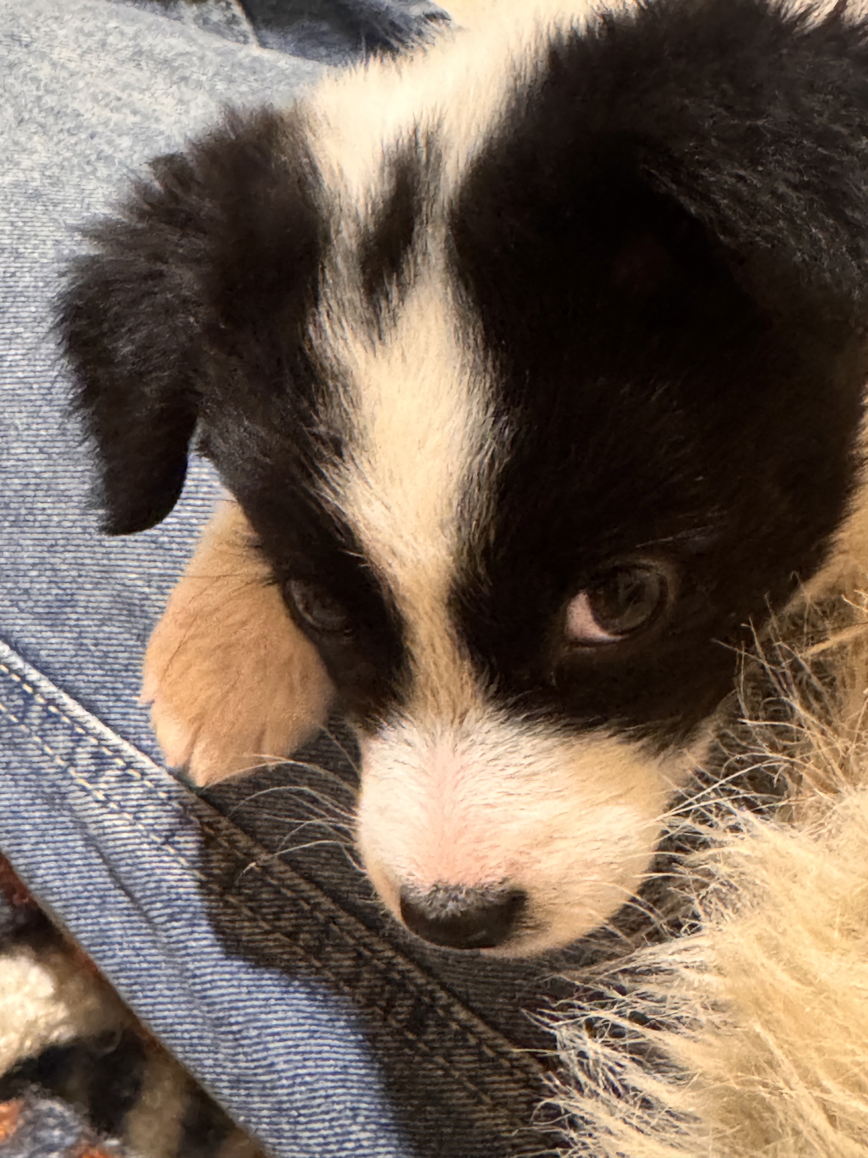 八百个心眼子🐽