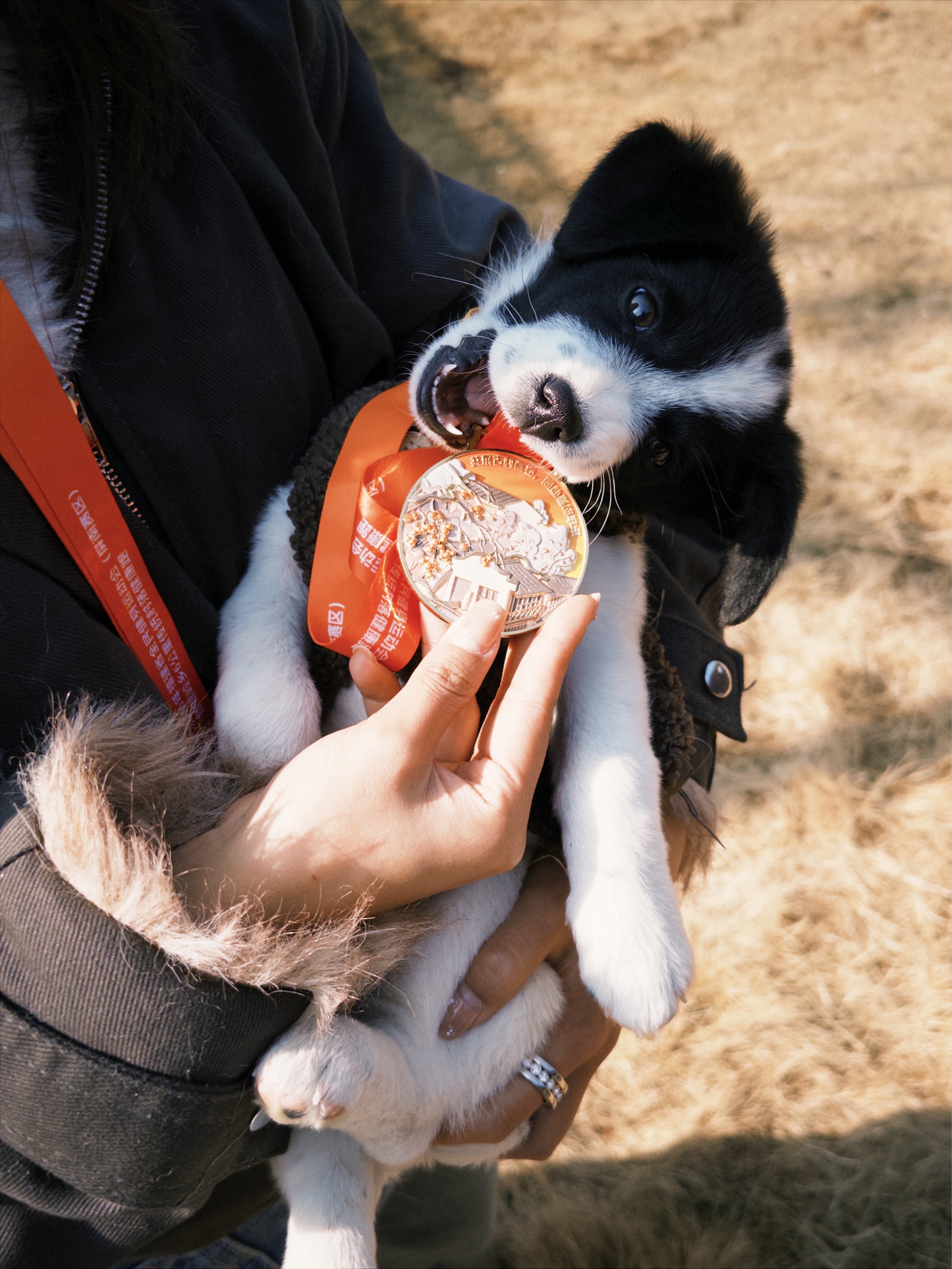 🏃 传统古村落健康跑