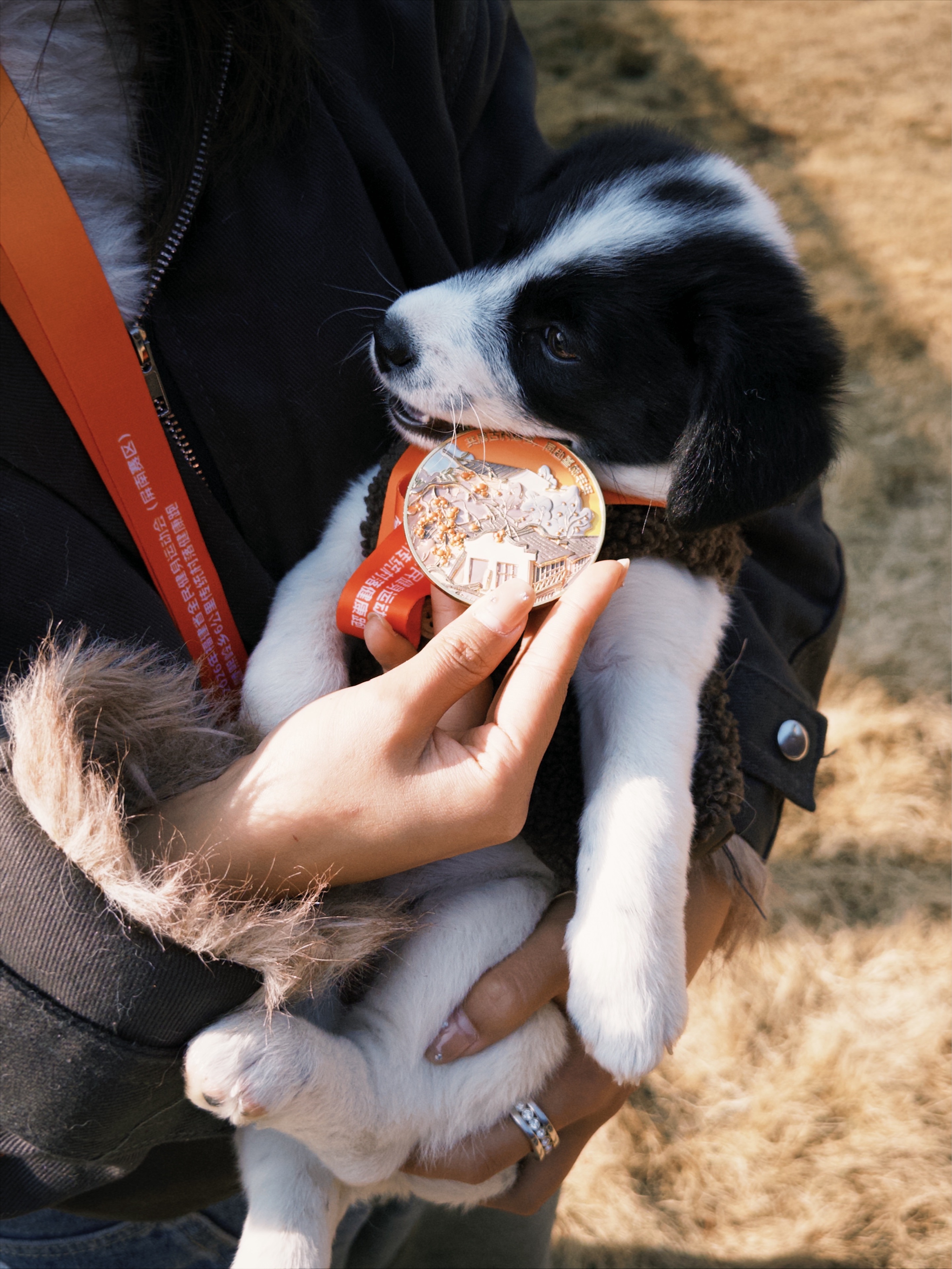 🏃 传统古村落健康跑