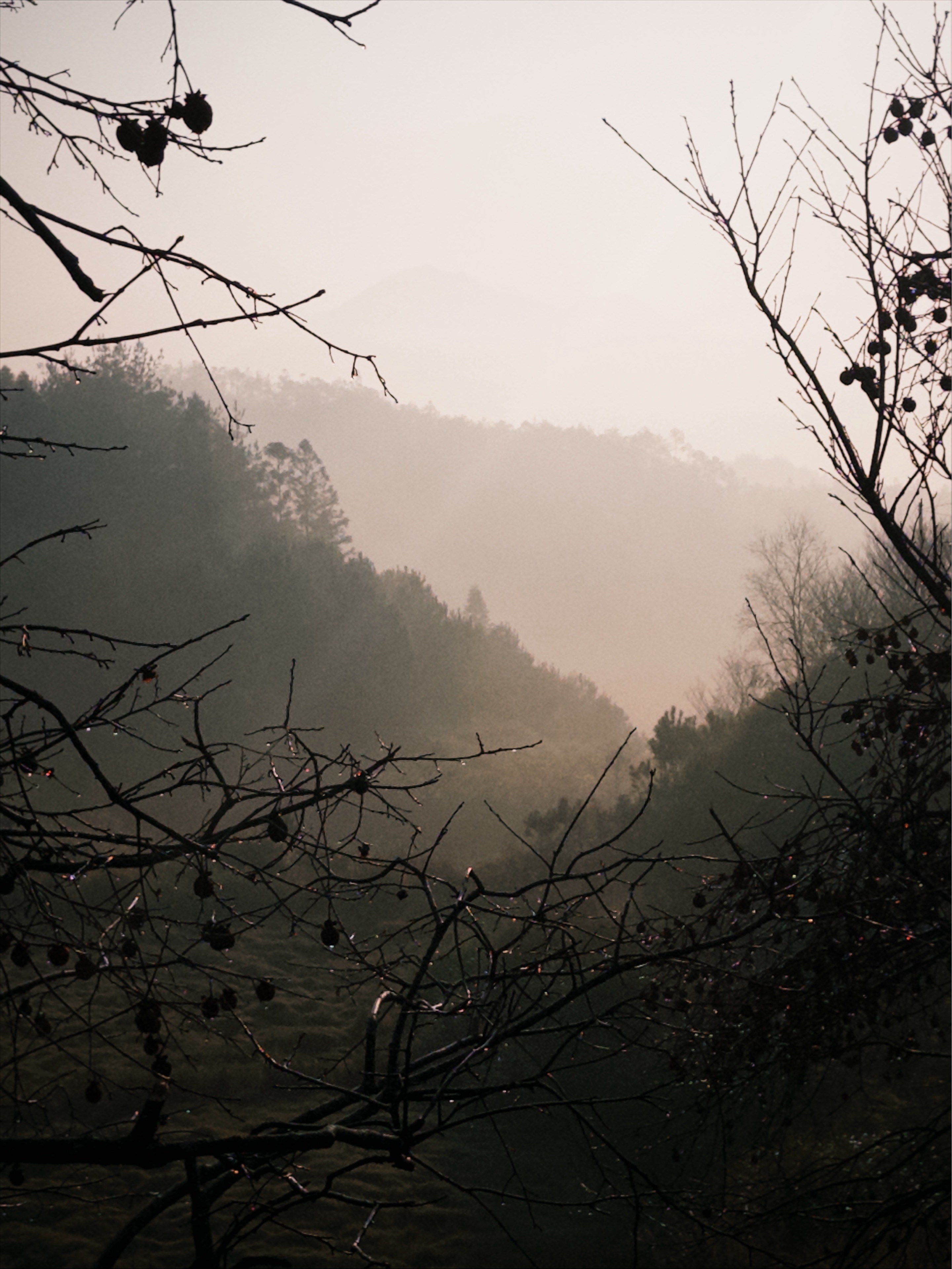 🏃 传统古村落健康跑