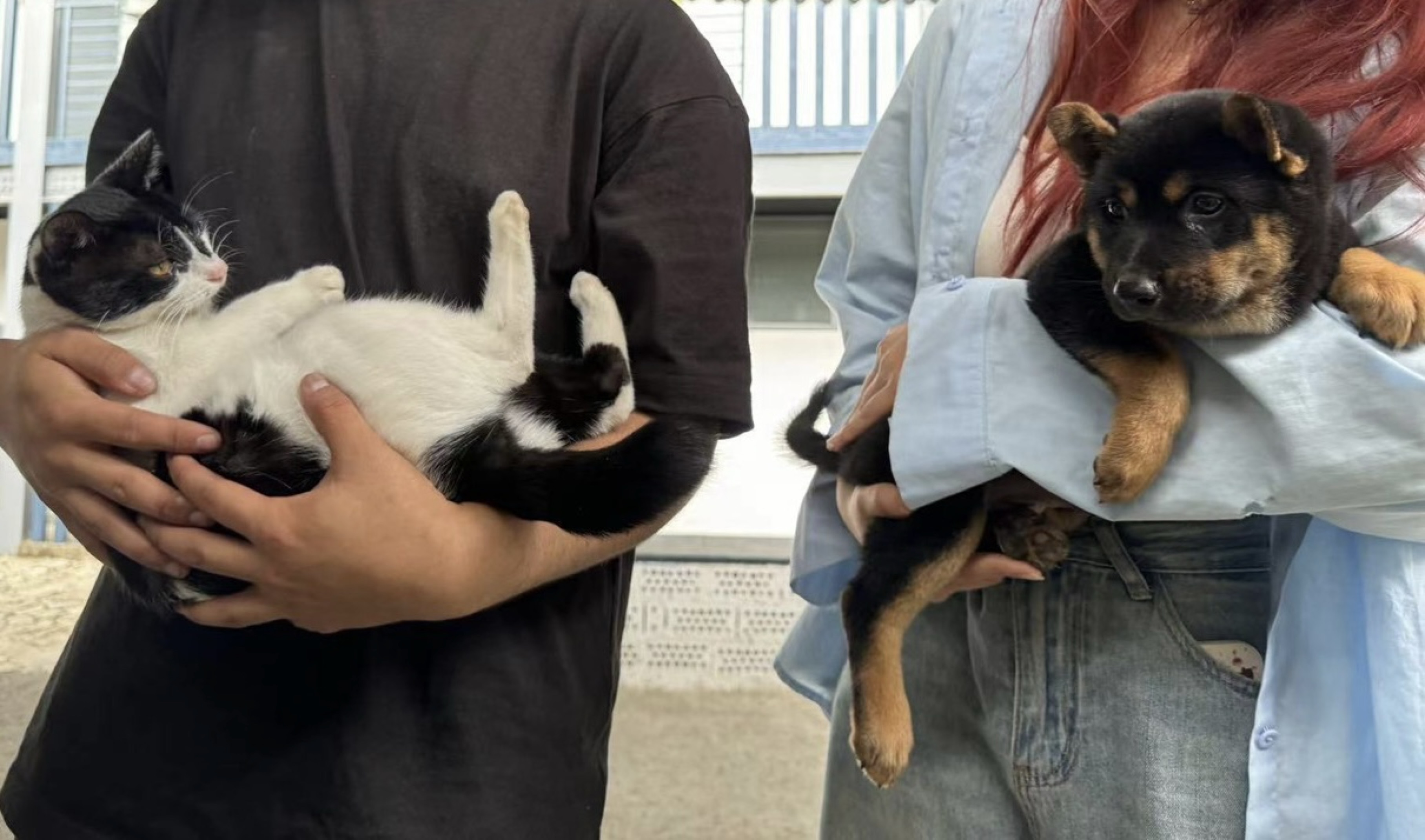 人生若只如初见