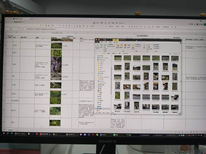 又在哄自己上班