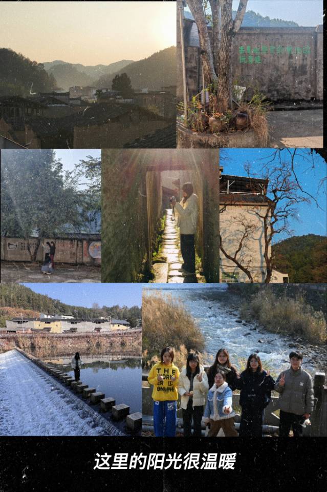 这个冬天，我们与前汾溪村关于植物的故事