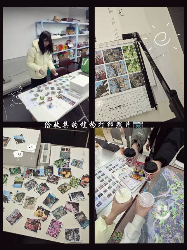 这个冬天，我们与前汾溪村关于植物的故事