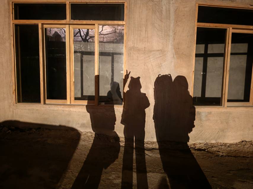 这个冬天，我们与前汾溪村关于植物的故事