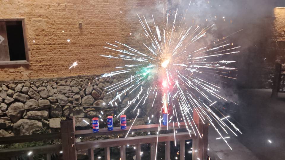 这个冬天，我们与前汾溪村关于植物的故事