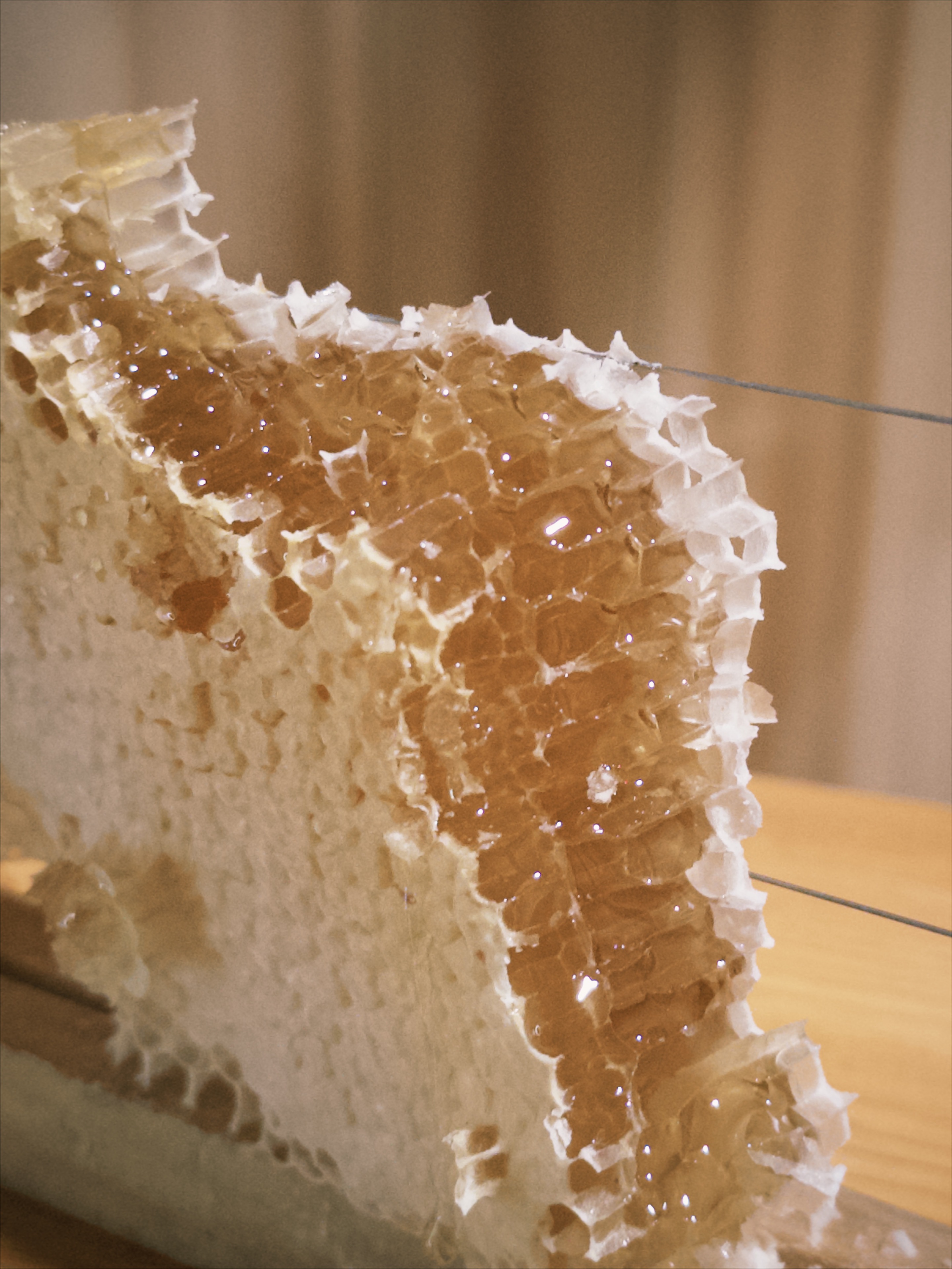 🍯 蜜蜜蜜蜜蜜