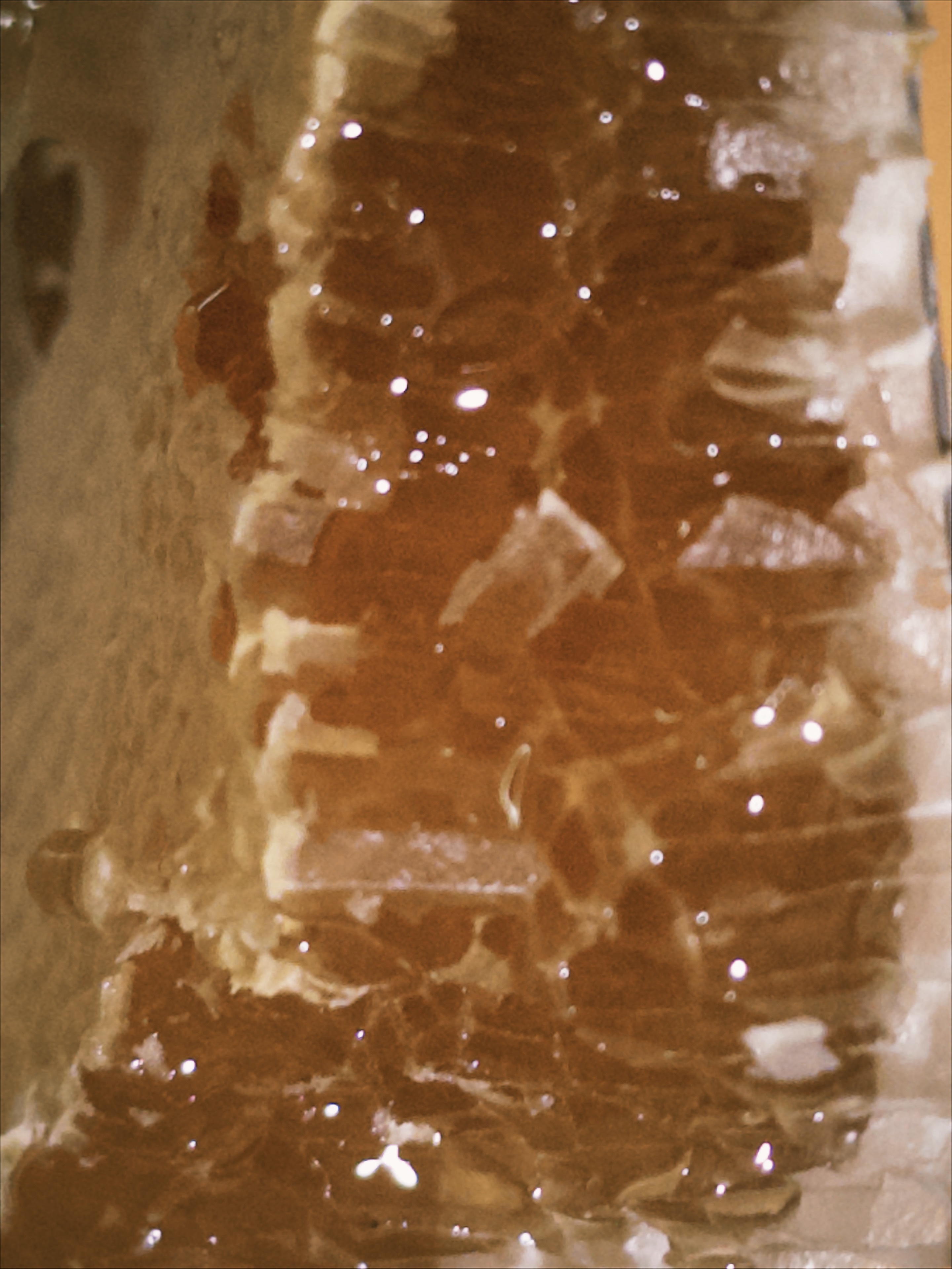 🍯 蜜蜜蜜蜜蜜