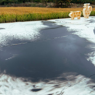 菜市场赞美诗展014afb6075630811013fb1173ea570.jpg