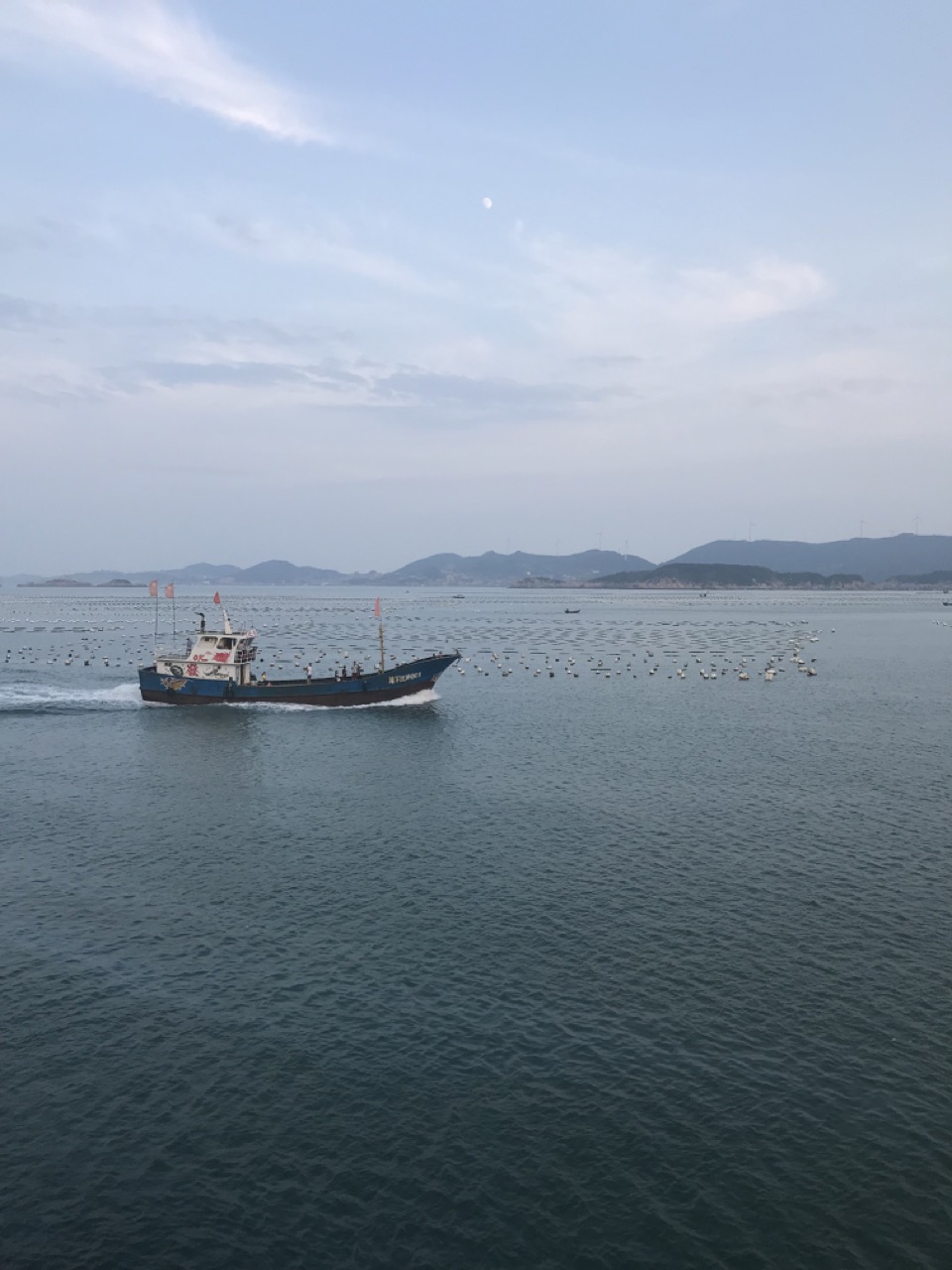 记一次，去朋友家的海img_1447 大.jpeg