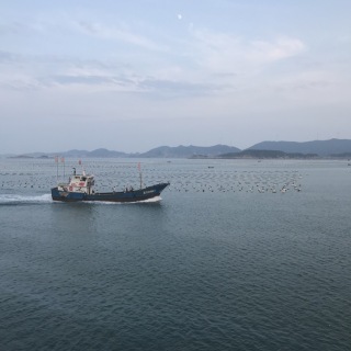 记一次，去朋友家的海