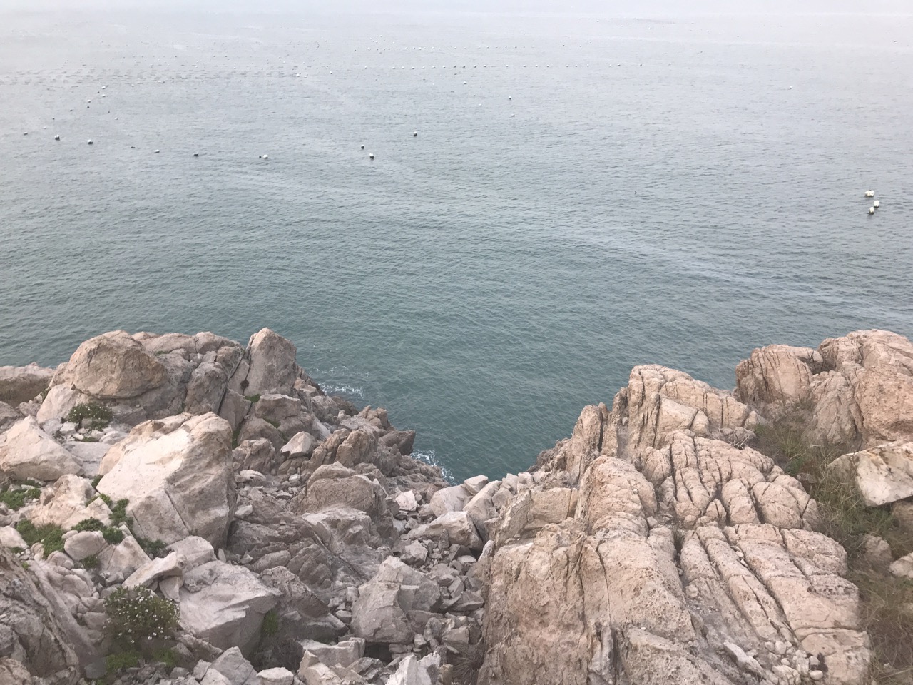记一次，去朋友家的海img_1489 大.jpeg