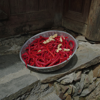 平常日常，习以为常sdim3707.jpg