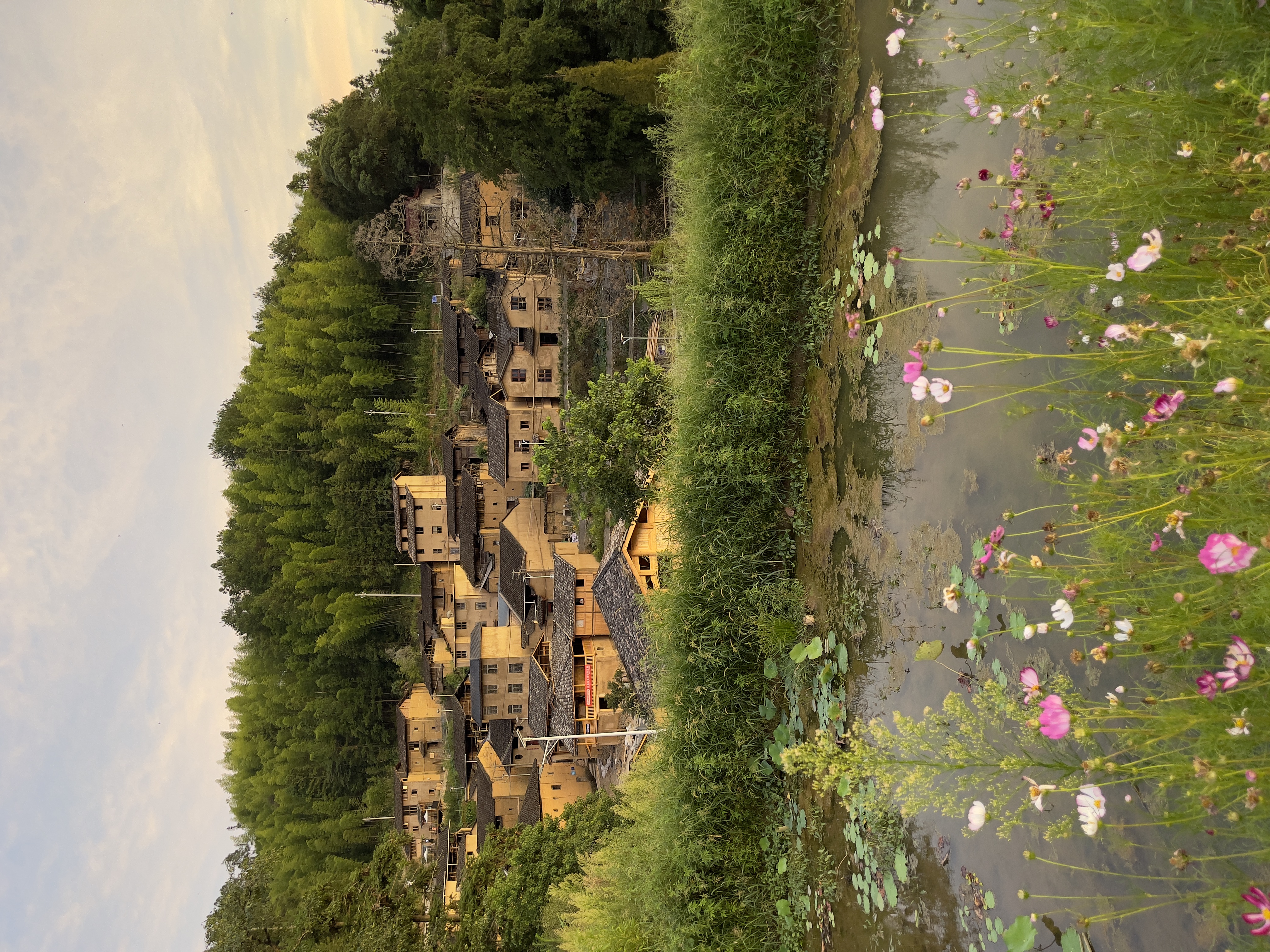 在屏南所见img_8332.jpeg