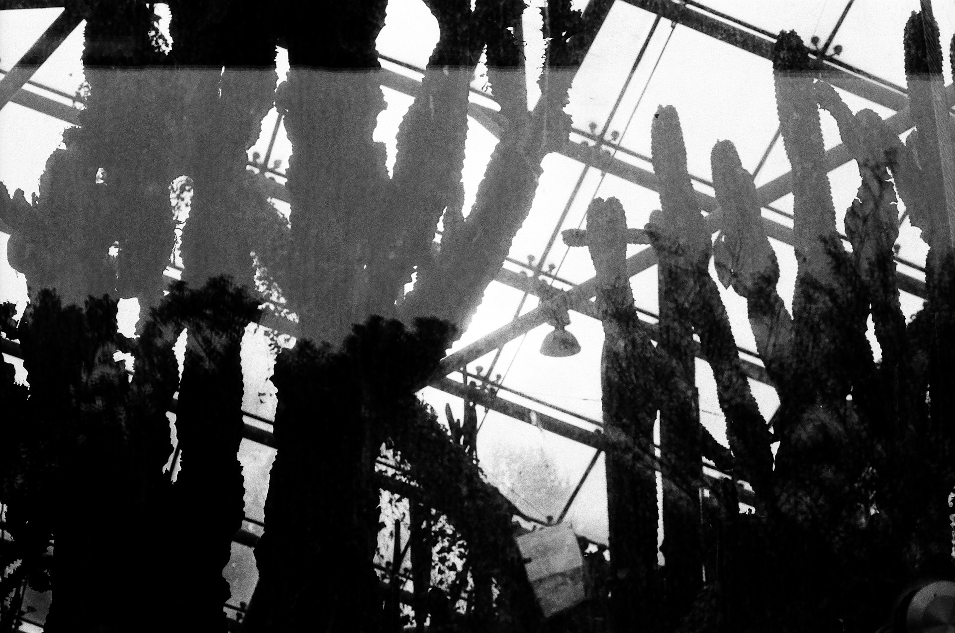 从日常到一次聚焦